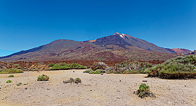 泰德山,火山,国家公园,特内里费岛,加纳利群岛,西班牙,高处,海平面,岛屿,大西洋