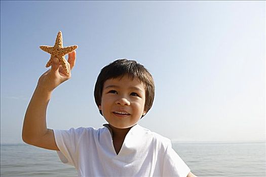 男孩,拿着,壳,海滩