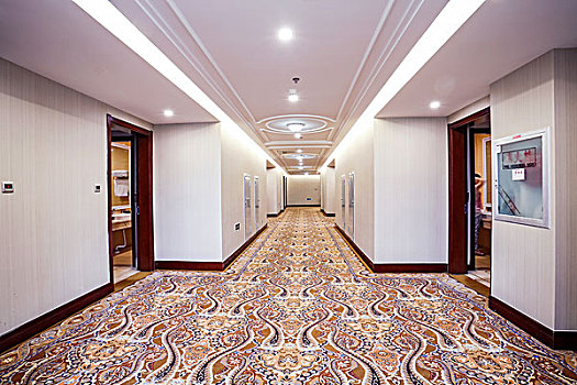 酒店走廊和地毯