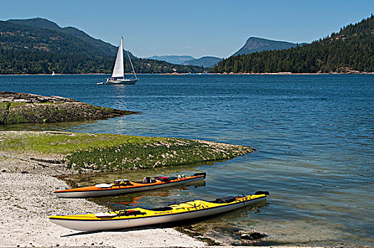 皮划艇,帆船,岛屿,景色,弗尔福特港,盐泉岛,不列颠哥伦比亚省,加拿大