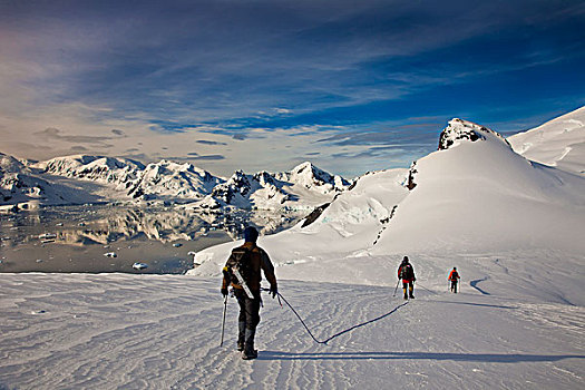 攀登者,冰河,旅行,容器,缝隙,攀升,岛屿,天堂湾,后面,南极半岛,南极
