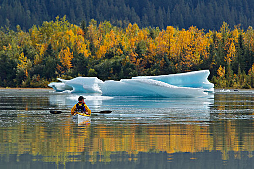 冰山,静水,湖,靠近,东南阿拉斯加,秋天