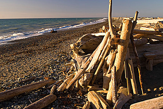 一堆,浮木,海滩,国家野生动植物保护区,华盛顿,美国