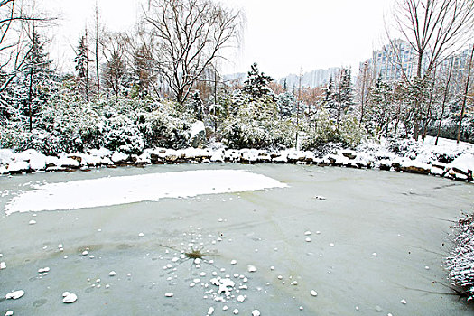 雪景