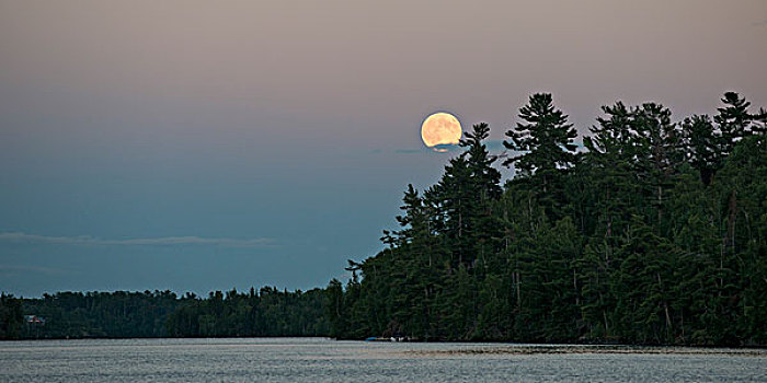 月亮,上方,树,湖,木头,安大略省,加拿大