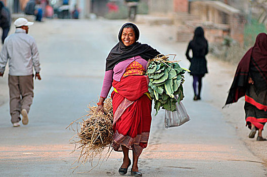 日常生活,尼泊尔人,女人,向上,家庭,农事
