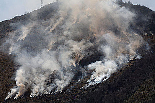 控制,灌丛火灾,靠近,卢尔德,比利牛斯山脉,法国,欧洲