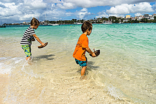 两个男孩,7岁,老,玩,小船,椰树,安大略省,海滩,岛屿,瓜德罗普,法国
