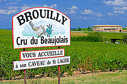 欢迎标志,博若莱葡萄酒,酒乡,罗纳河谷,法国