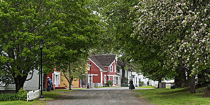 房子,道路,乡村,新斯科舍省,加拿大