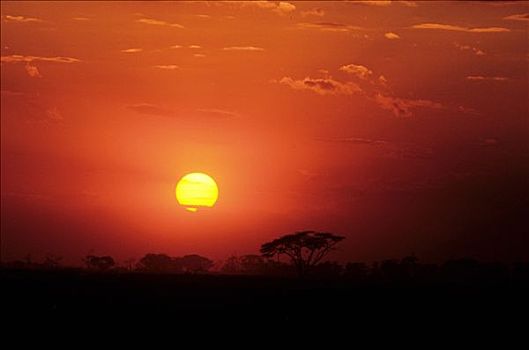 肯尼亚,日落,自然保护区
