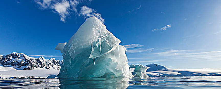 南极,全景,融化,冰山,漂浮,靠近,岛屿,湾