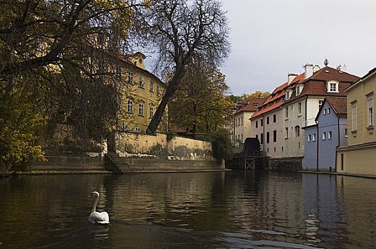 溪流,岛屿,布拉格,捷克共和国