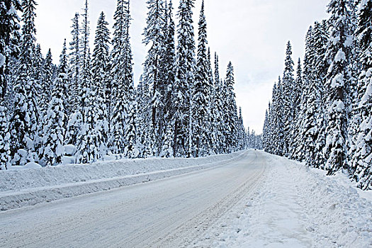 积雪,道路,希望,不列颠哥伦比亚省,加拿大