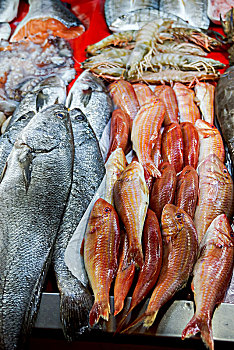 海鲜市场上的海鱼