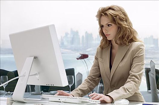 职业女性,电脑