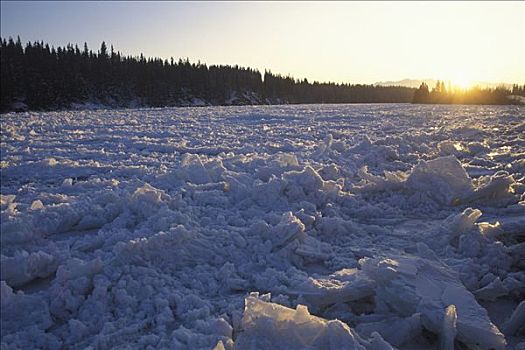 杂乱,冰,弓河,冬天,落日,靠近,加拿大,艾伯塔省