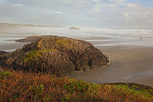石头,区域,长滩,环太平洋国家公园,靠近,不列颠哥伦比亚省,加拿大