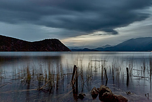 平和,风景,剪影,芦苇,泸沽湖,黄昏,云南,中国