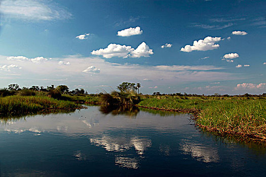 博茨瓦纳,奥卡万戈三角洲,水系,反射