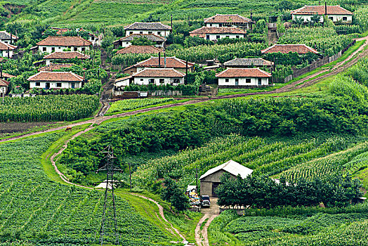 朝鲜乡村建筑景观