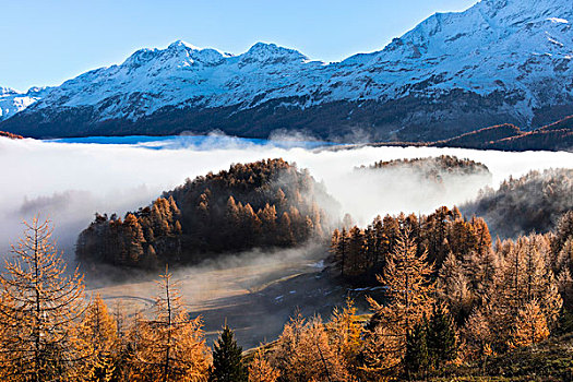 雾气,秋天,彩色,木头,风景,格劳宾登,恩格达恩,瑞士,欧洲