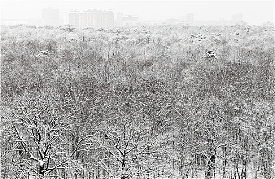 俯视,大雪,树林,城市,建筑