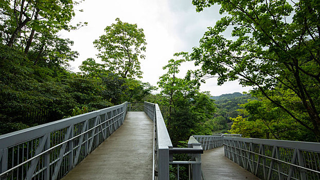 台湾新北市十分寮瀑布公园森林步道