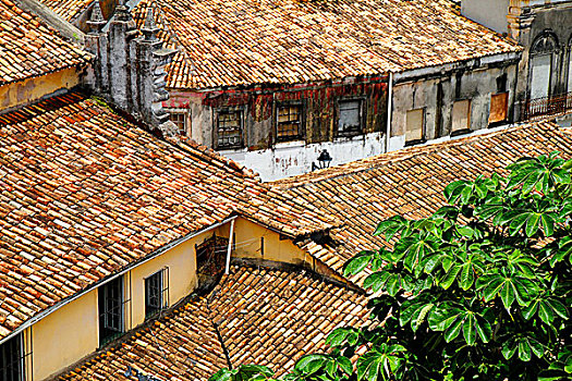 屋顶,萨尔瓦多巴伊亚
