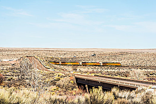 美国荒漠火车