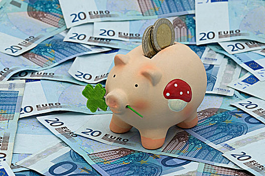 吉祥猪,小猪,硬币,投币孔,站立,欧元,钞票