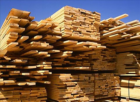 木材,安大略省,加拿大