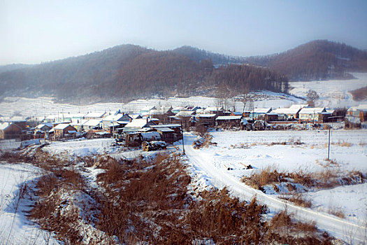 雪野,北方,东北,大雪,原野,土地,冬季,洁白,干净,风景,村庄,农村