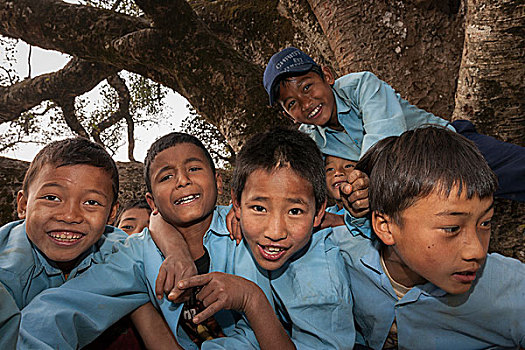 尼泊尔人,学生,穿,校服,姿势,树,尼泊尔,亚洲