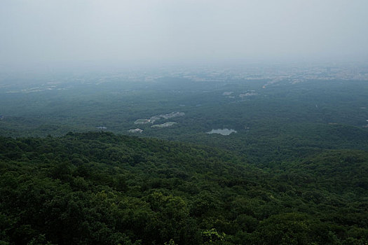 紫金山