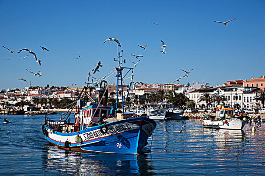 蓝色,捕鱼,船,港口,拉各斯,葡萄牙,阿尔加维,欧洲