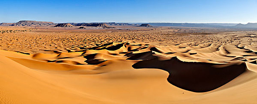 晨光,阿尔及利亚,撒哈拉沙漠,北非