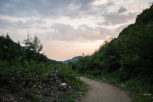 山间小路