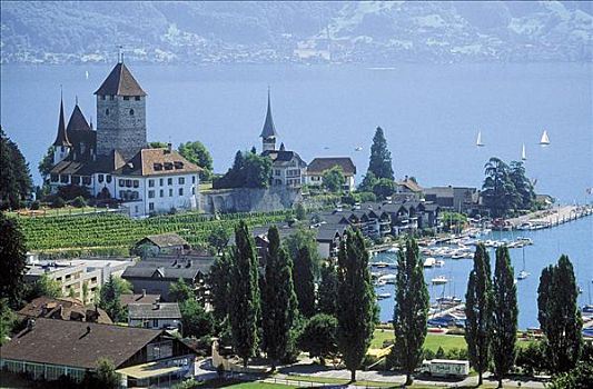 风景,乡村,湖,伯恩高地,瑞士,欧洲