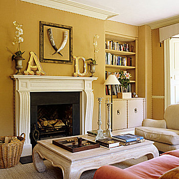 客厅,黄色,墙壁,茶几,正面,壁炉,架子