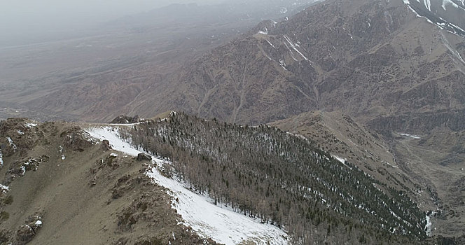 新疆哈密,春日天山海拔2800米处美景