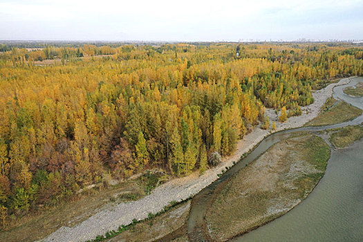新疆博州,博尔塔拉河谷秋色壮美