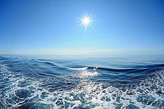 太阳,上方,平静,海洋,波浪,格陵兰,北冰洋,北极