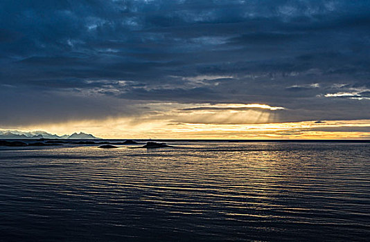 日落,海洋,罗弗敦群岛,挪威,欧洲