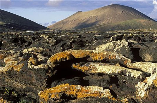 熔岩原,靠近,彩色,苔藓,兰索罗特岛,加纳利群岛,大西洋,西班牙,欧洲
