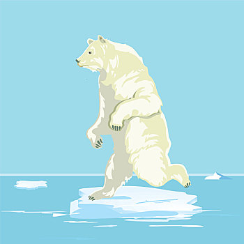 北极熊,小,浮冰,插画
