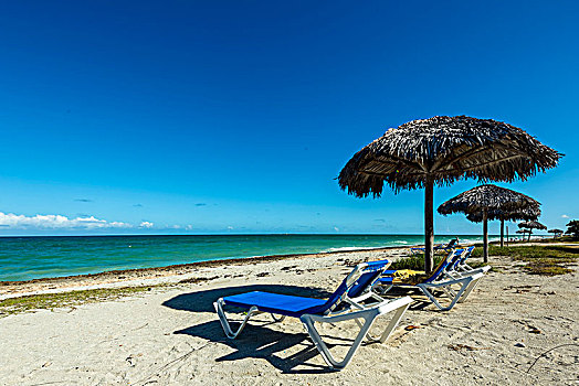 沙滩椅,海滩,遮阳伞,棕榈叶,酒店,早晨,巴拉德罗,胜地,水疗,青绿色,水,沙子,古巴,马坦萨斯,北美