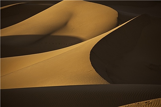 撒哈拉沙漠,沙丘,晚间,阳光