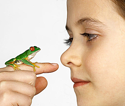 女孩,红眼树蛙,手指