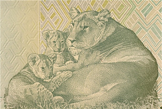 雌狮,卧,两个,幼兽